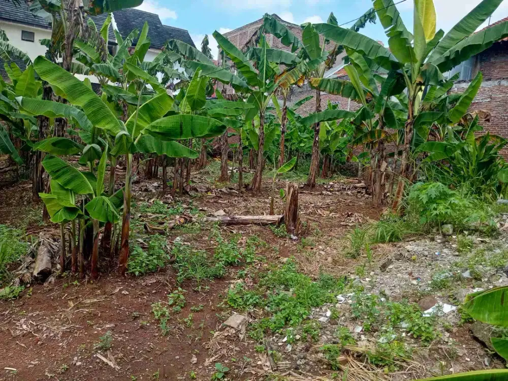 TANAH COCOK UNTUK KOS2 AN DI TEMBALANG BANYUMANIK UNDIP