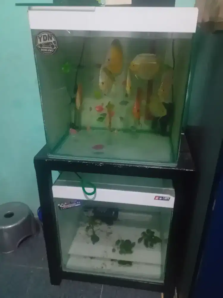 Aquarium fullsett