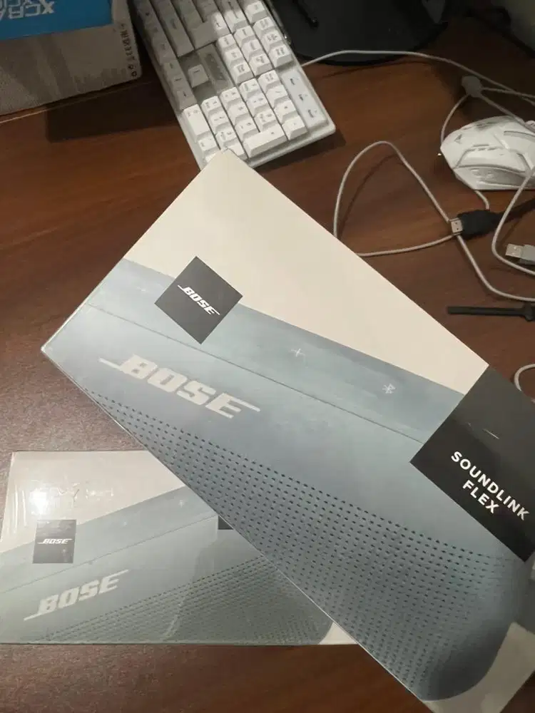 BOSE SOUNDLINK FLEX ( MURAH SEGEL)