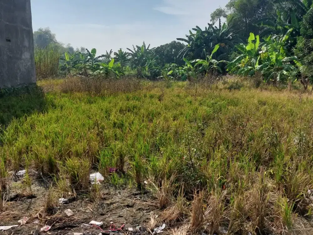 Dijual Tanah Murah Siap Bangun Lokasi Raya Bringkang Menganti Gresik (Persis Belakang Kantor PLN Bringkang Menganti)