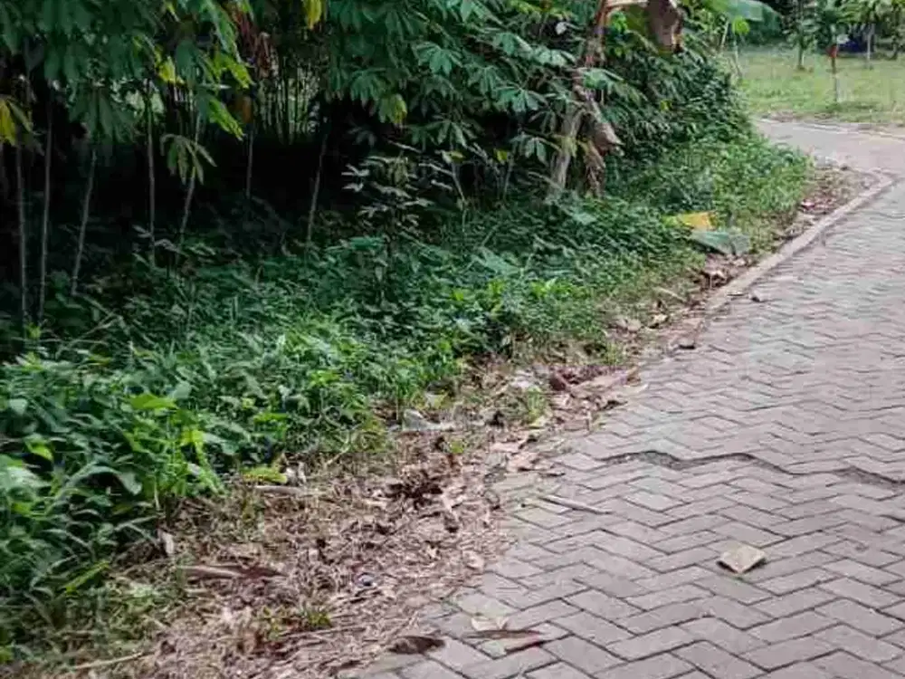 dijual tanah diperbatasan cisauk