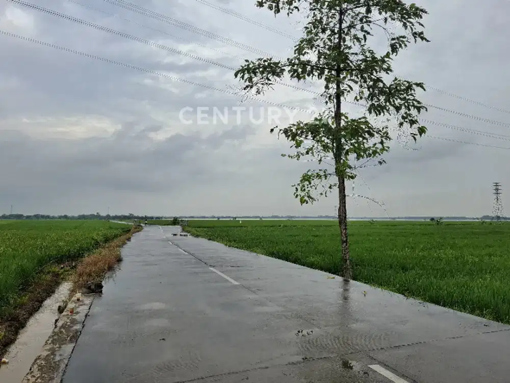 Tanah Zona Industri Lokasi Strategis Di Karawang Barat