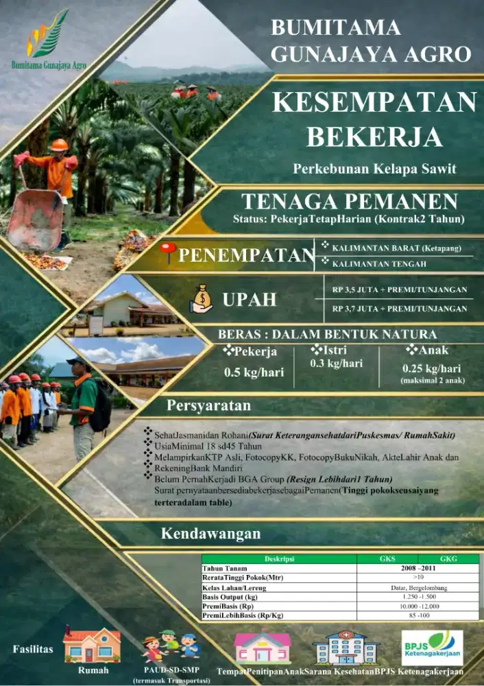 Lowongan Kerja Sawit