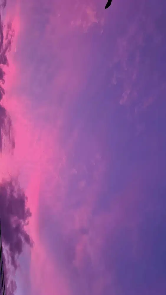 Asisten Rumah Tangga