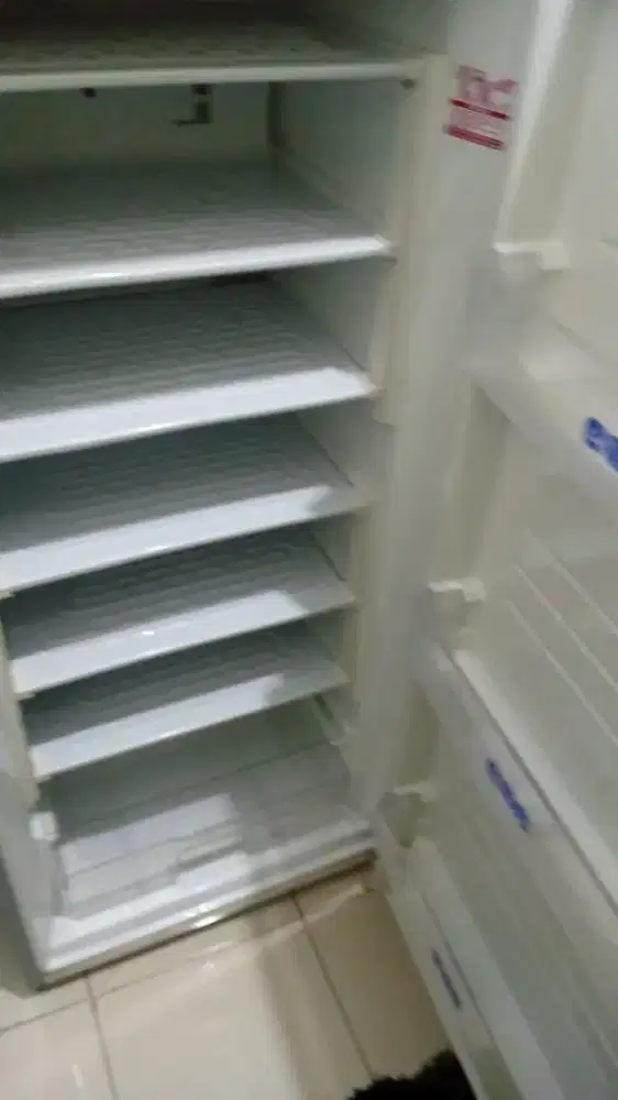 Flezeeer seken dijual cepet