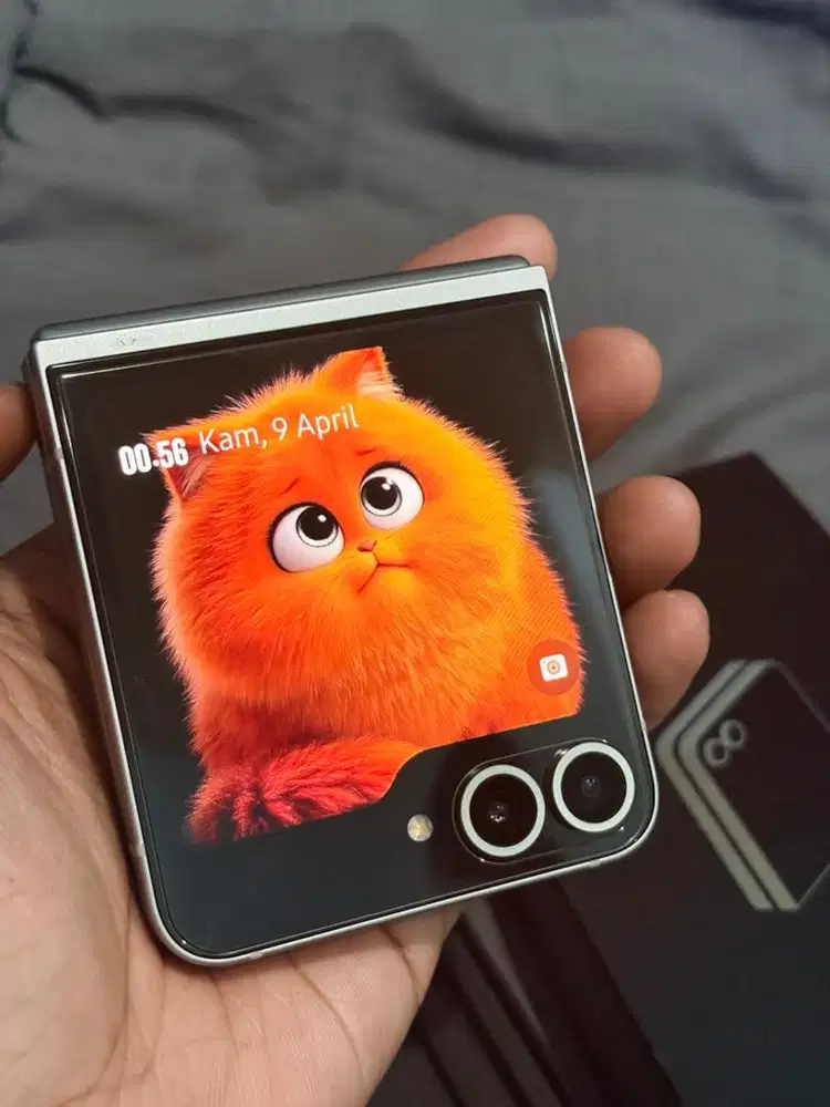 Samsung Z flip 6 Silver