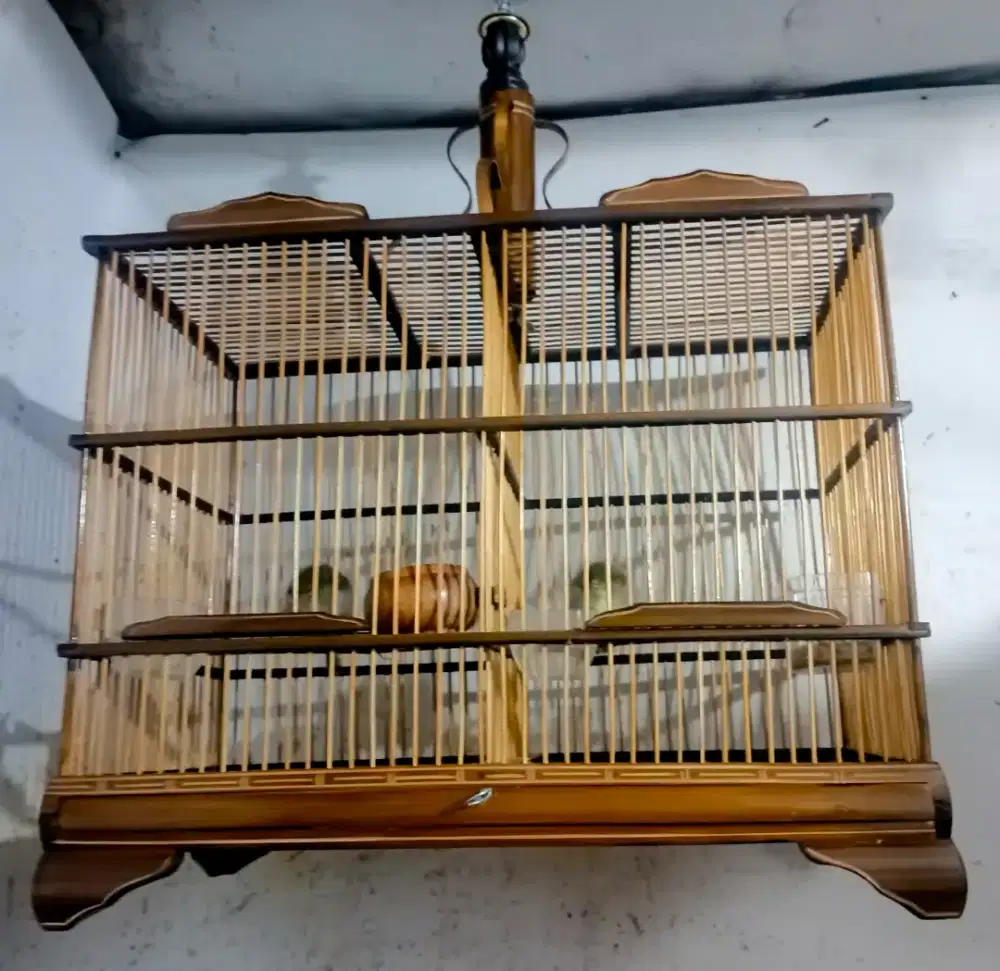 Perenjak atas sepasang fulset