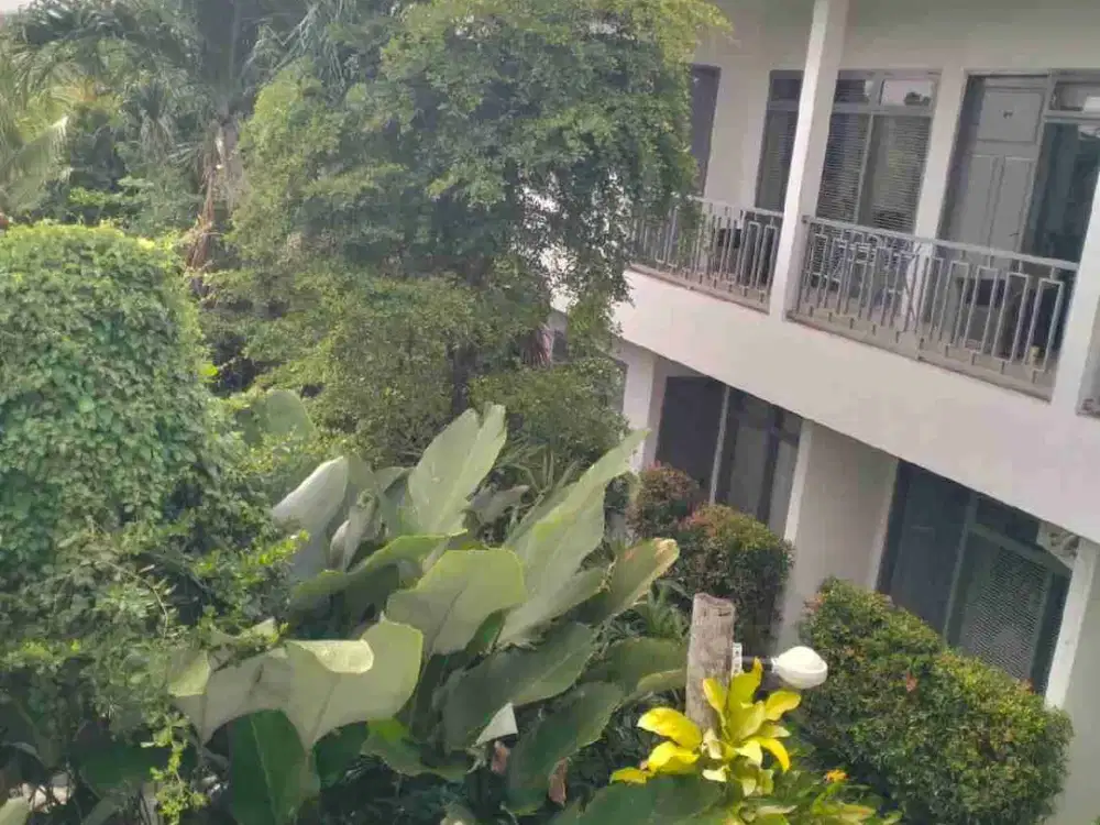 Kost Elite 18 Kamar Full Furnished Kerobokan Strategis Bali