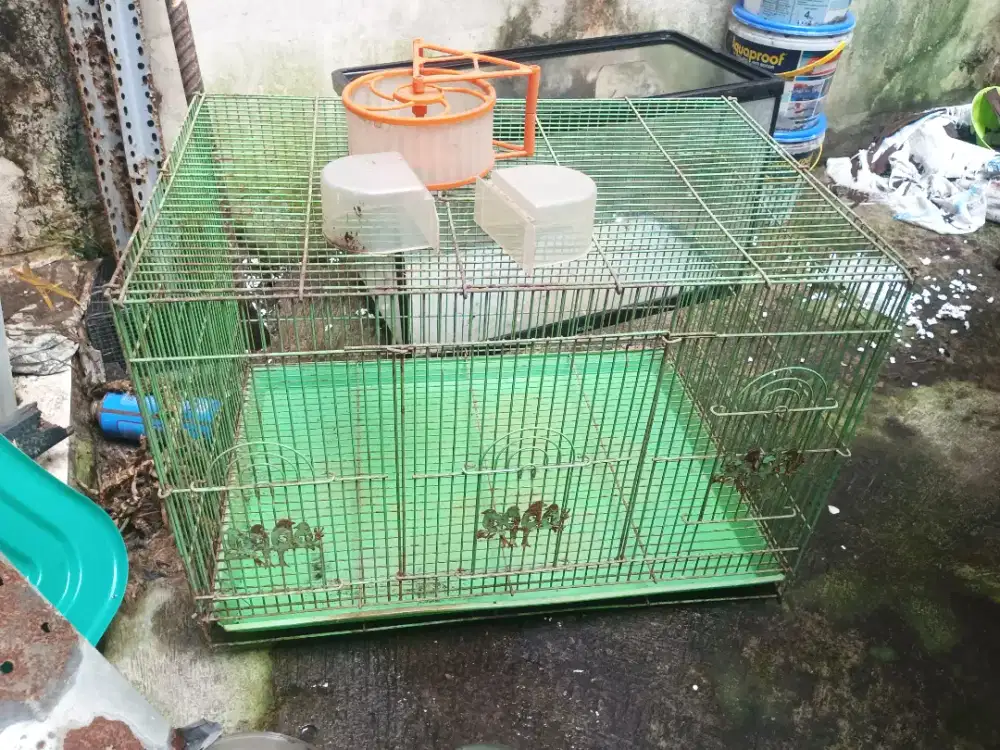 KANDANG KELINCI ATAU HAMSTER, BEKAS TAPI MASIH BAGUS