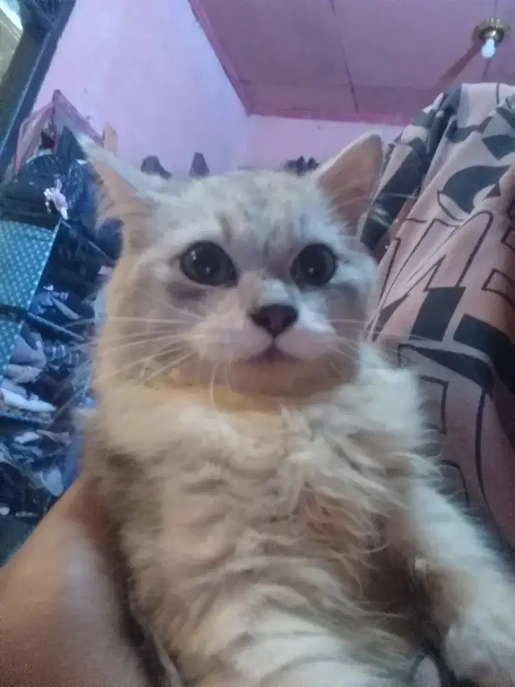 Saya pria kelahiran 28 des 1977 butuh kerja apa aja. Luar kota  gpp