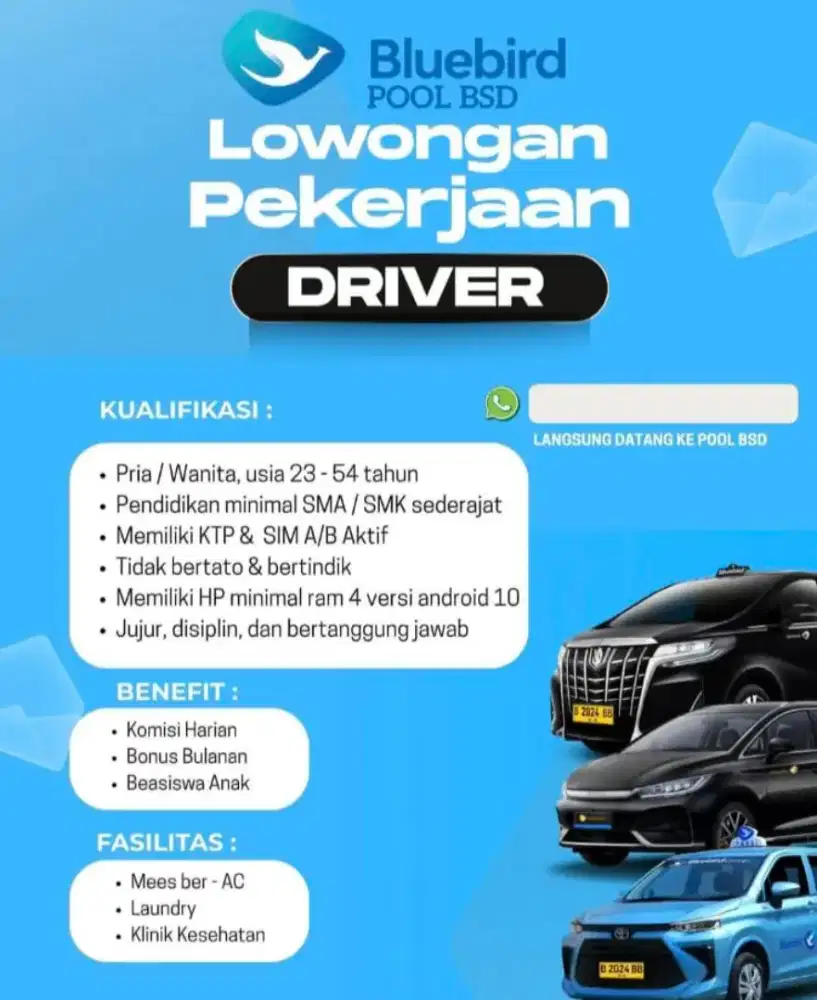 Driver Bluebird, Silver Bird, Golden Bird