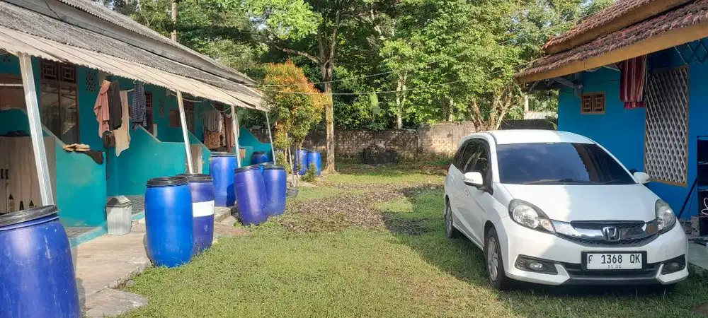 Dijual Kostan Aktif + Riumah