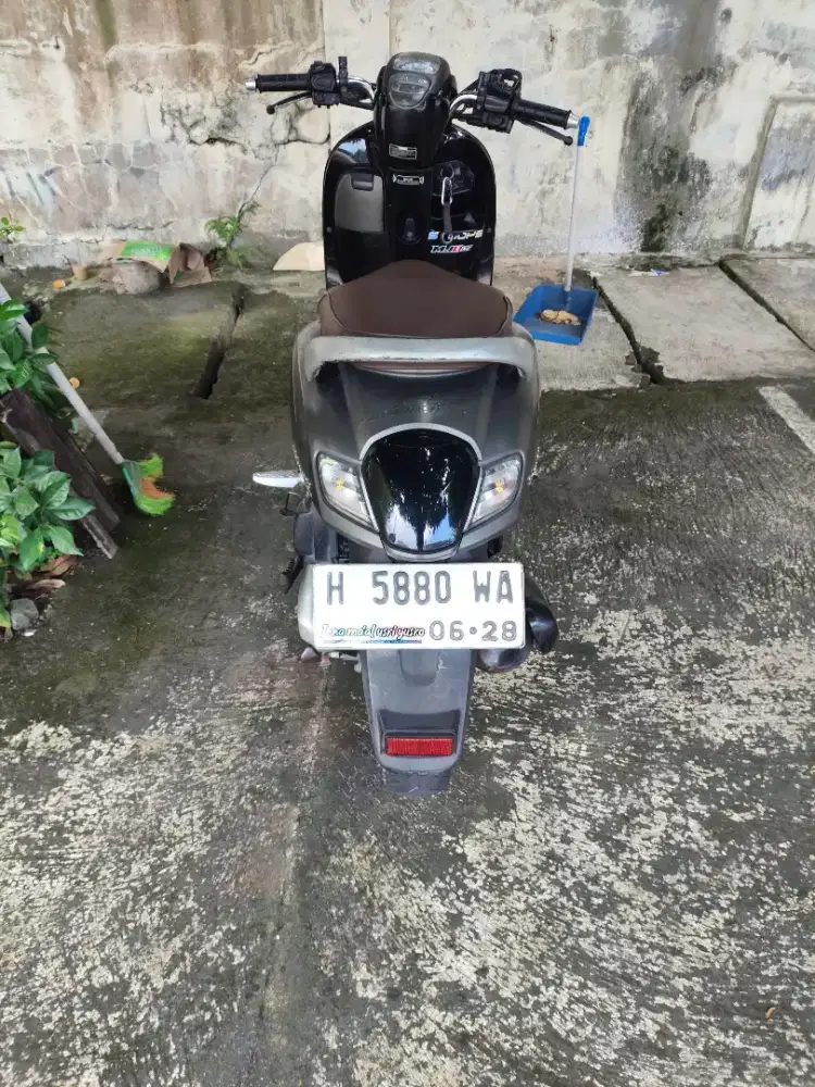 Scoopy tahu 2018