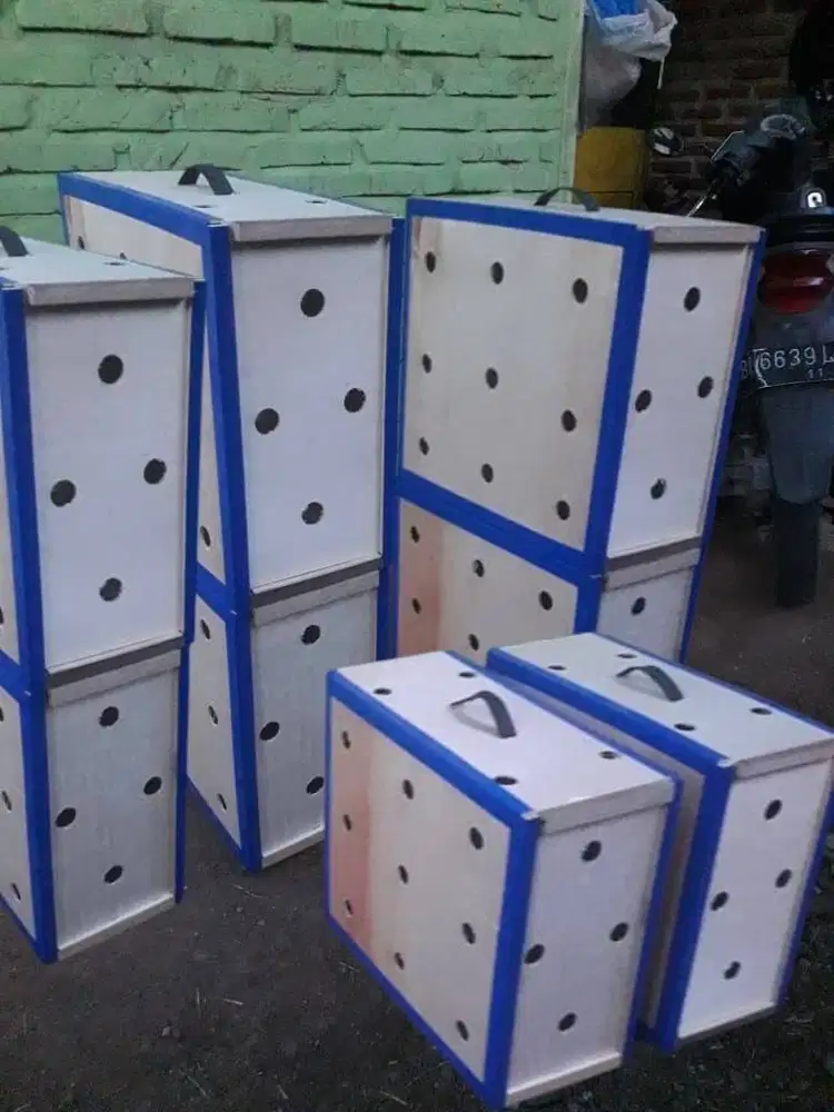 Kotak Box Kirim Ayam