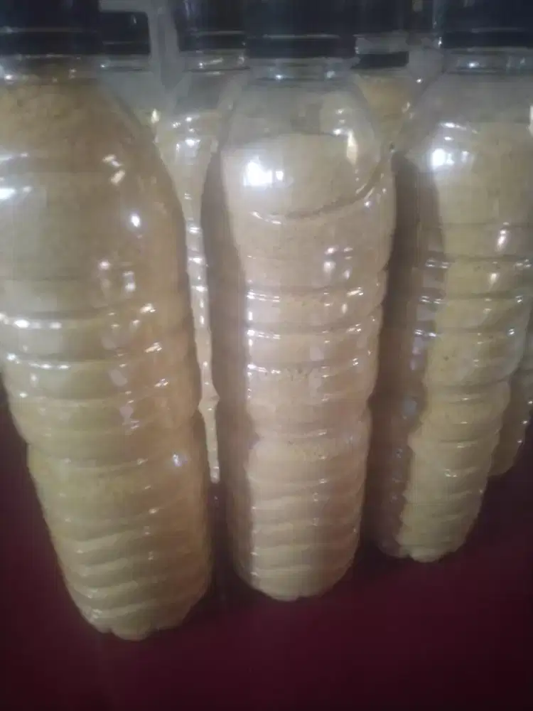 Vitamin untuk segala ayam