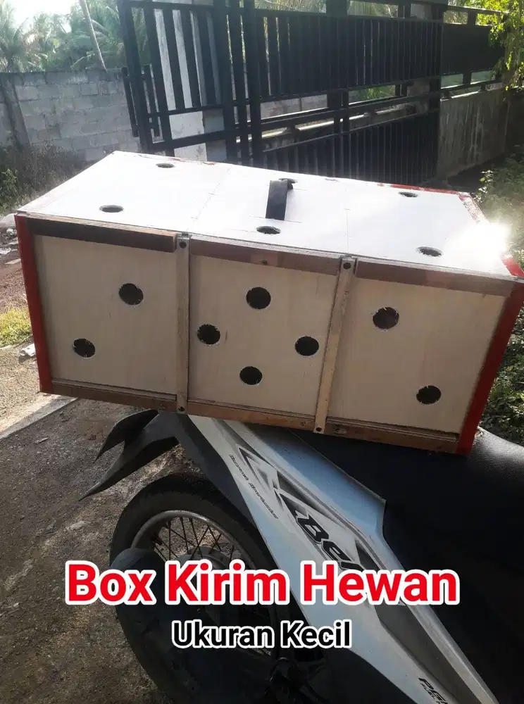 Kotak Box Kirim Ayam