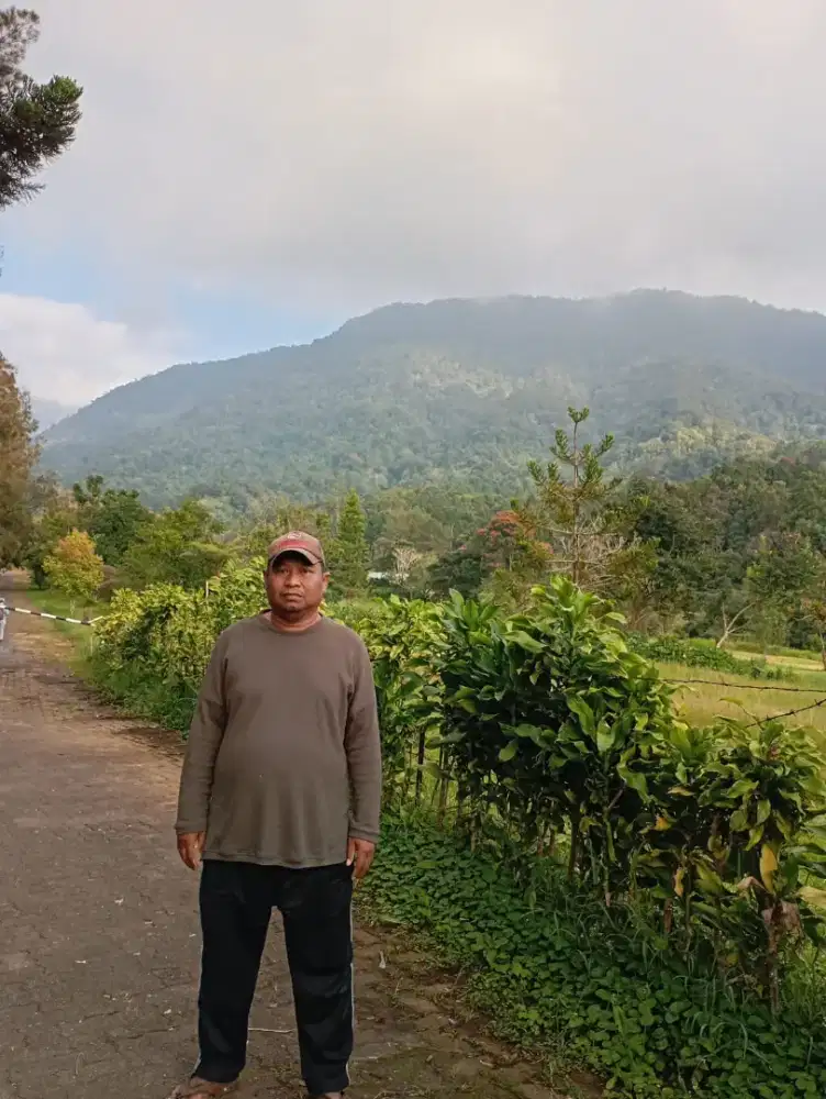 Mencari pekerjaan kurir