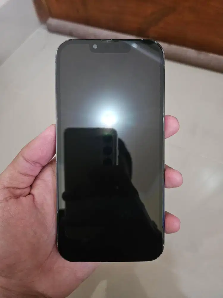 Iphone 13 Pro 128GB inter alloprator sinyal aman ios update fullset