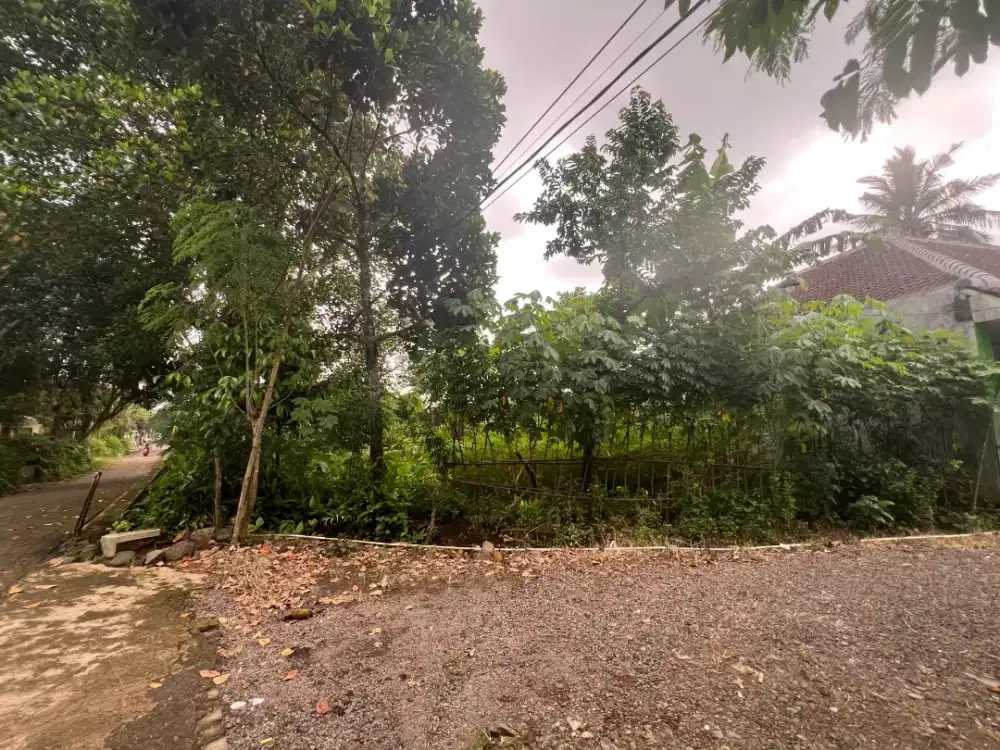 Tanah Lokasi Kedawung