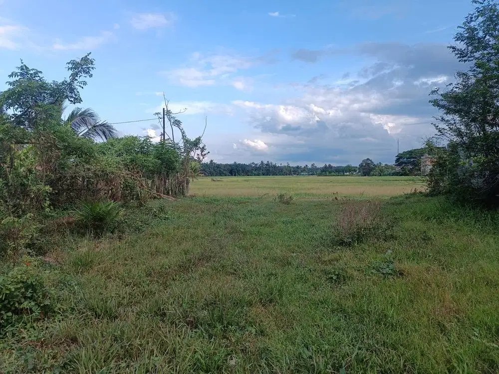 Bismillah semoga cepat terjual