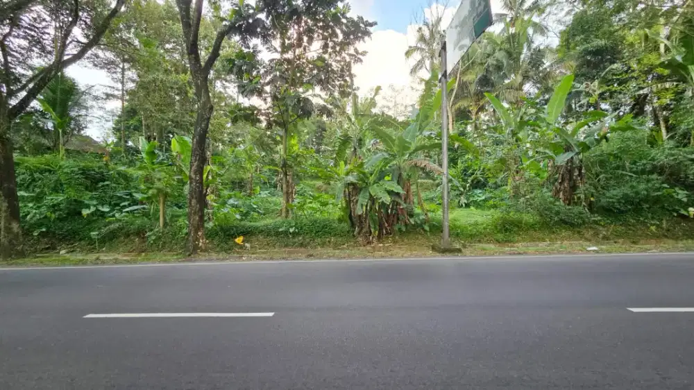 DIJUAL TANAH STRATEGIS - JLS SALATIGA