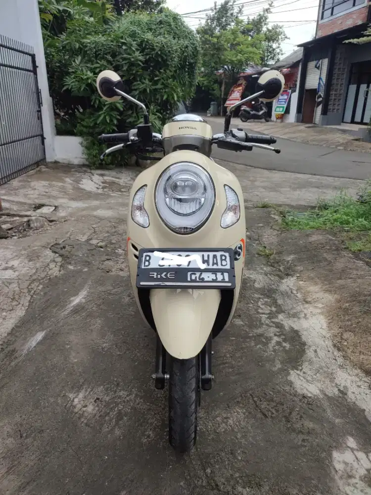 Scoopy 110 Donat 2021