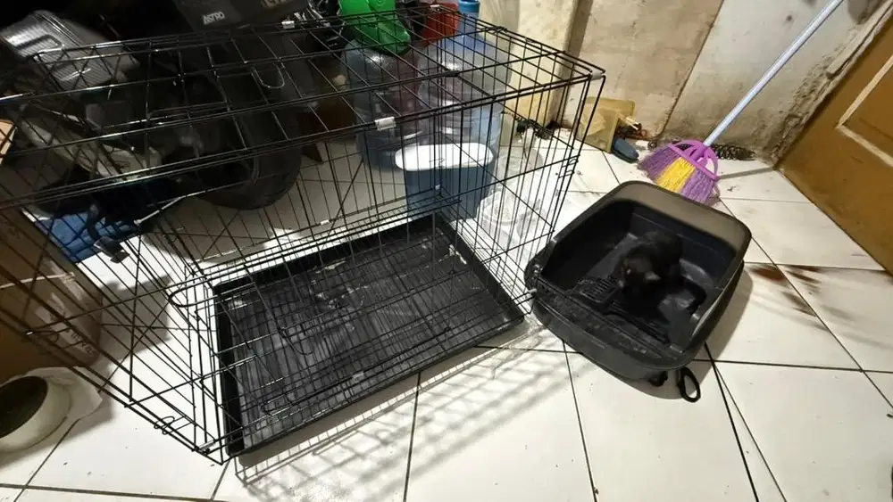 Peralatan kucing like new