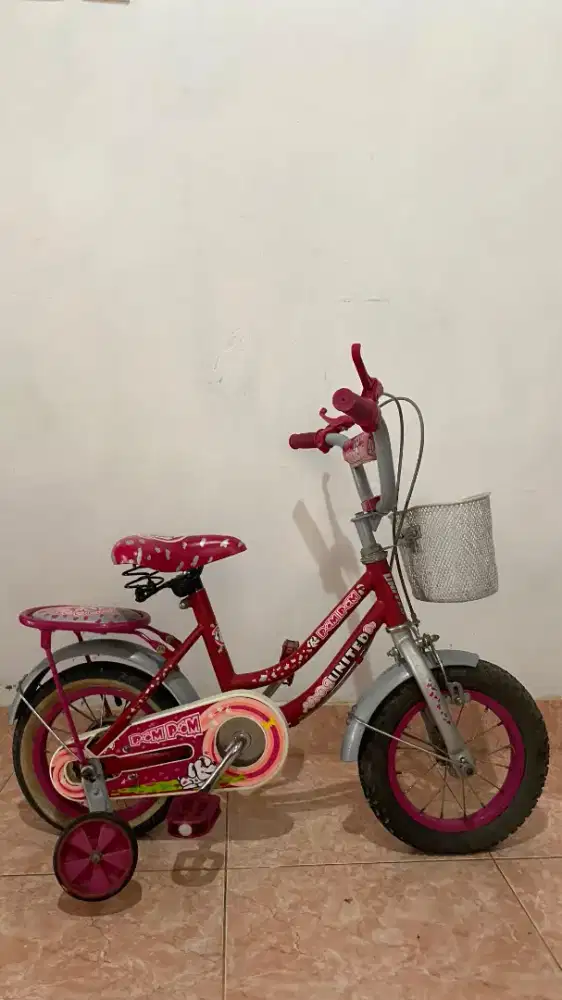 Sepeda united anak