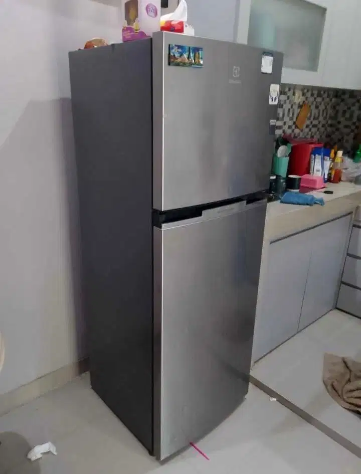 kulkas Electrolux 2 pintu
