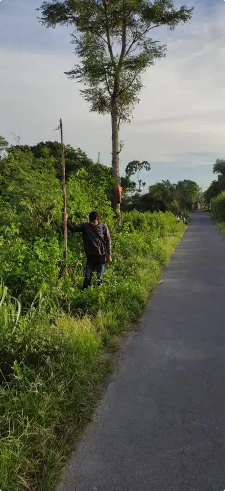 Dijual tanah di Mojosongo, Boyolali