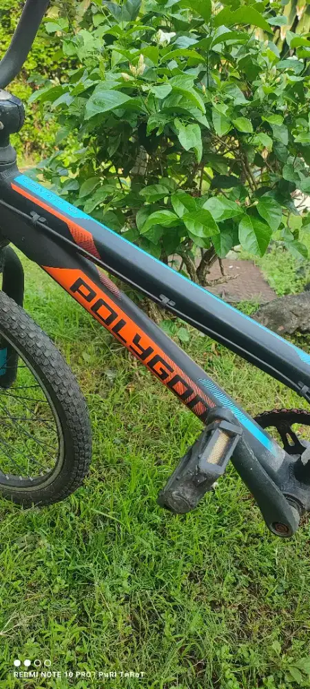 Bmx Polygon junior
