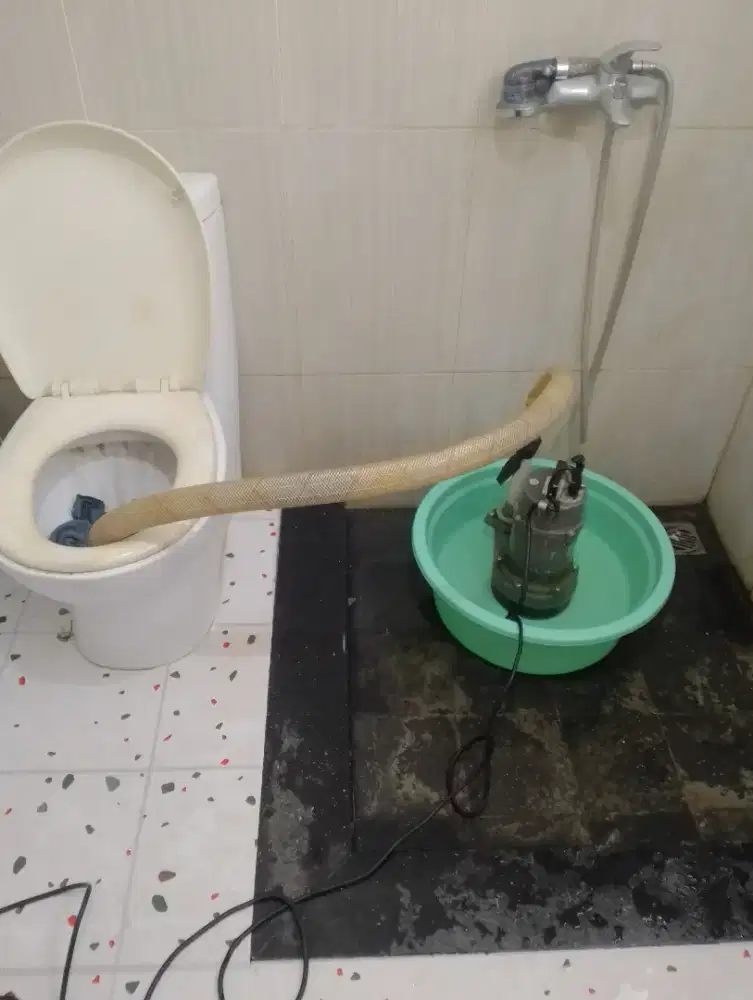 Pendoronggan kloset mampet