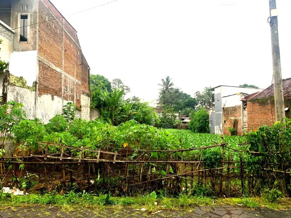 Tanah 405m² Pakis Malang 1,75jt/m Surat Aman Nego Tipis