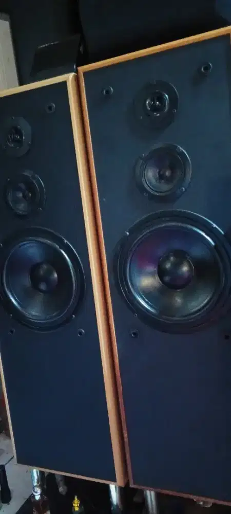 Salon big band dewa langka