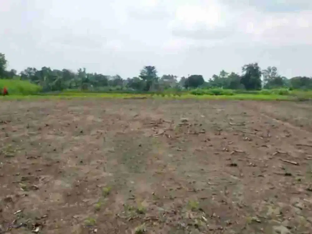 Tanah di Gresik Cerme