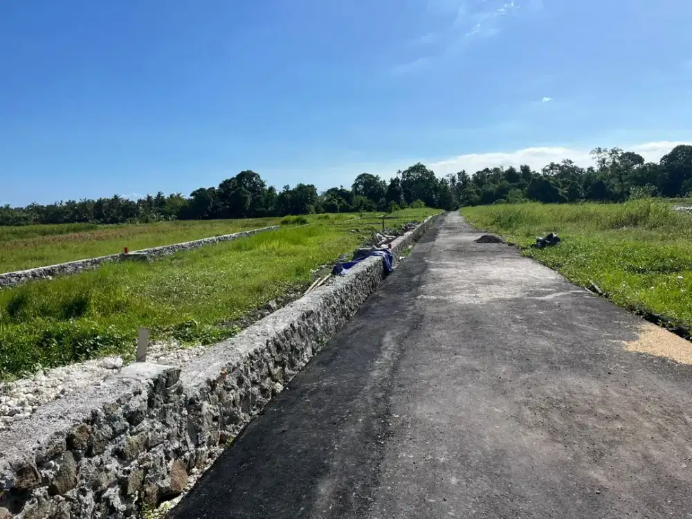 Tanah Siap Bangun di Kedungu Tabanan Cocok untuk Villa