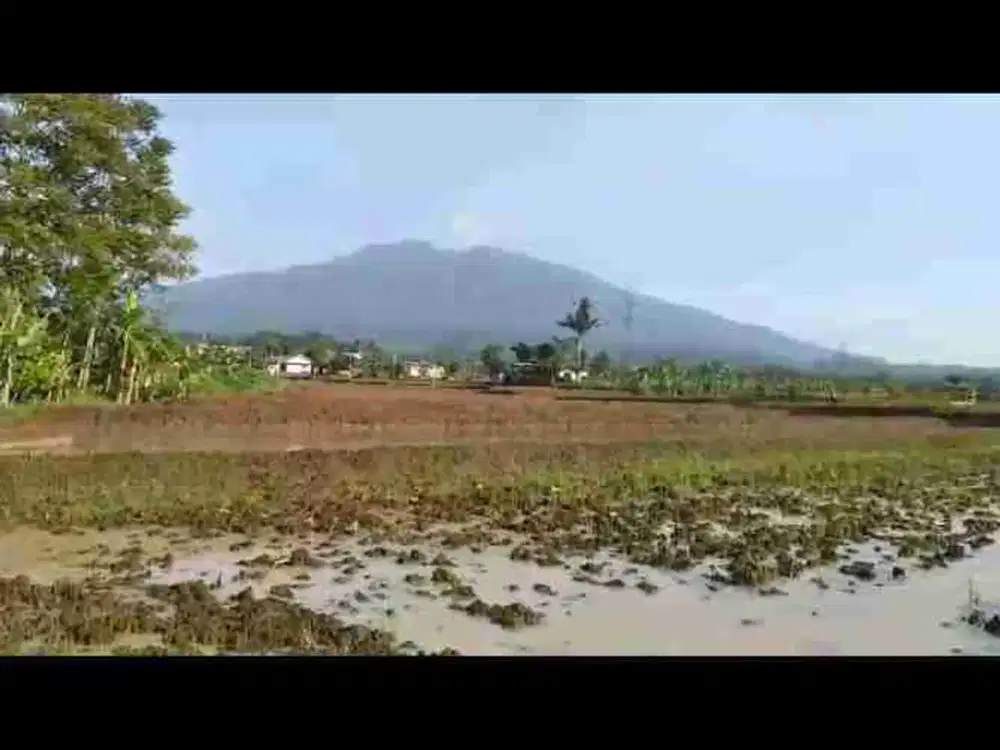 di jual tanah sawah dan kebun  ada mata air melimpah shm di Cicurug Sukabumi