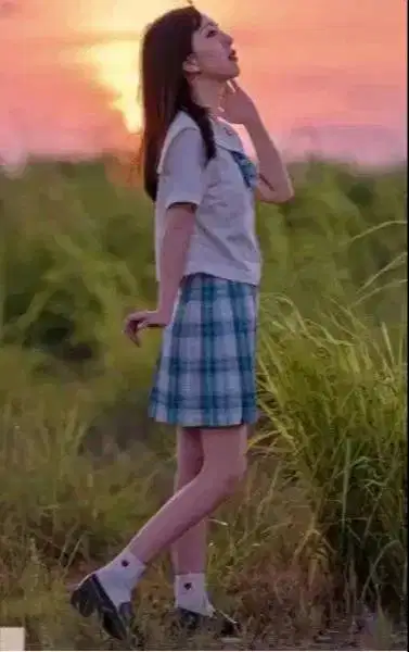 Sistem ONLINE auditor keuangan akuntan publik toko beras Banjarmasin