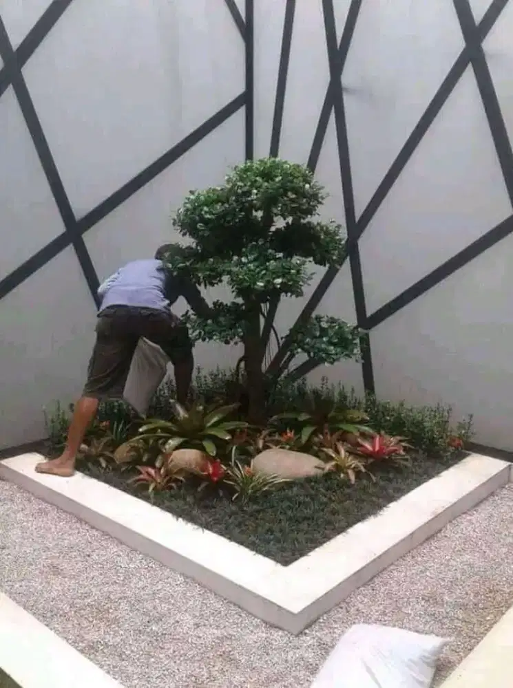 Jasa bikin taman plus tanam