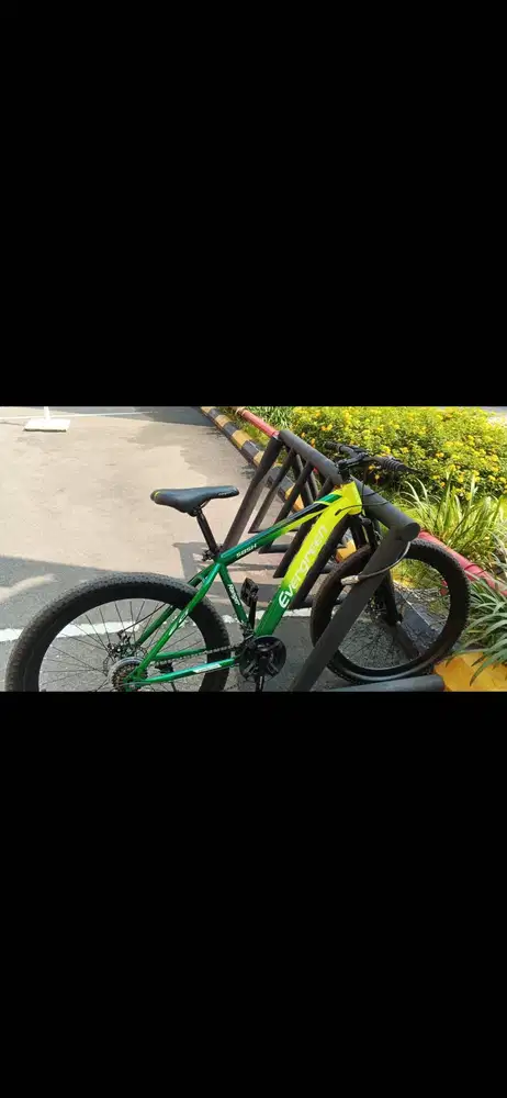 Bekas tapi Baru evergreen