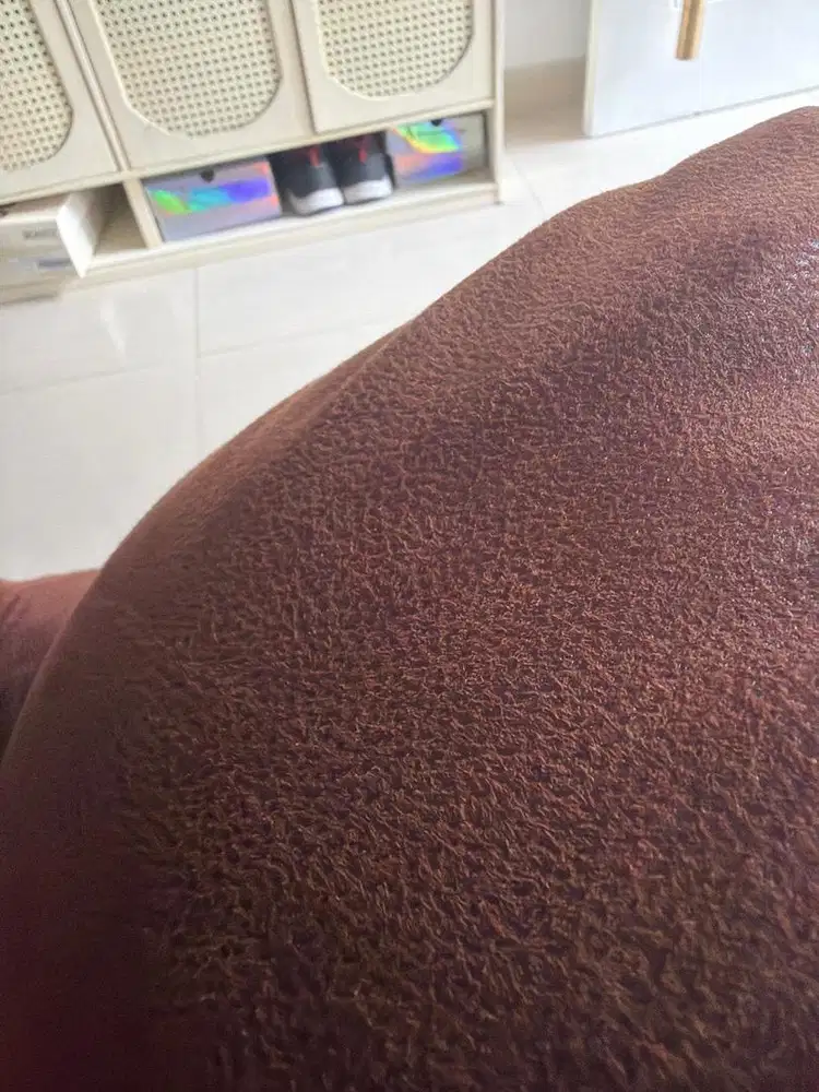 Dicari Supir Pribadi