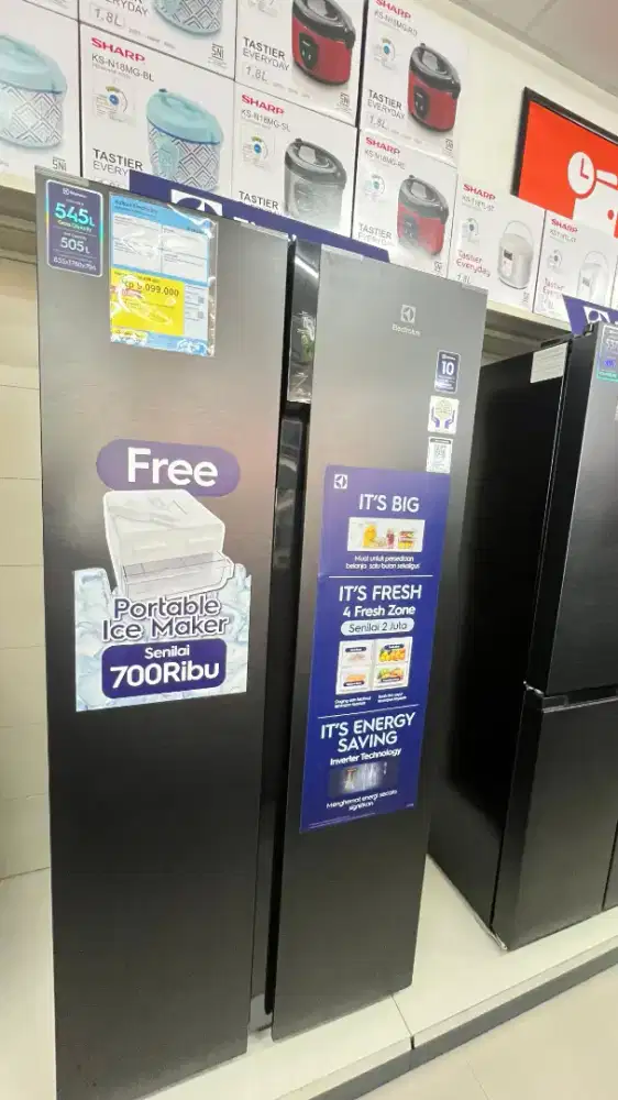 Kulkas Electrolux Multidoor EQE-4960