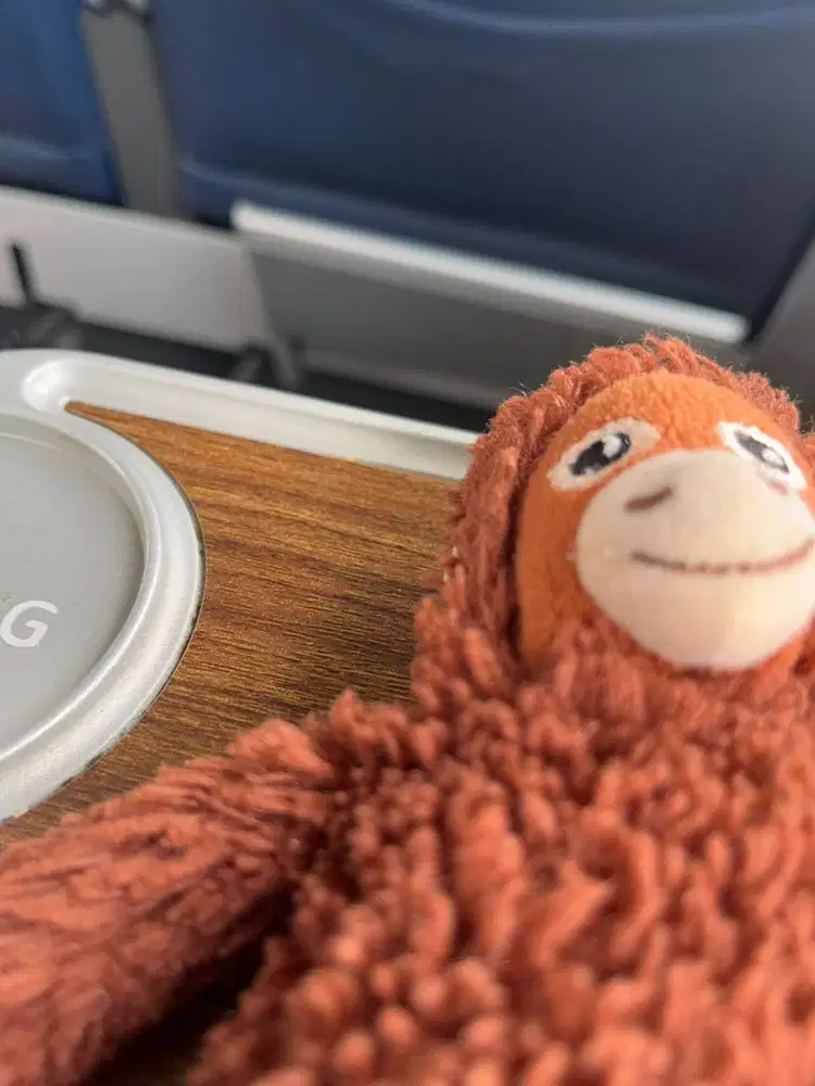 Kami mencari ART momong (pengasuh anak usia 4 th) menginap