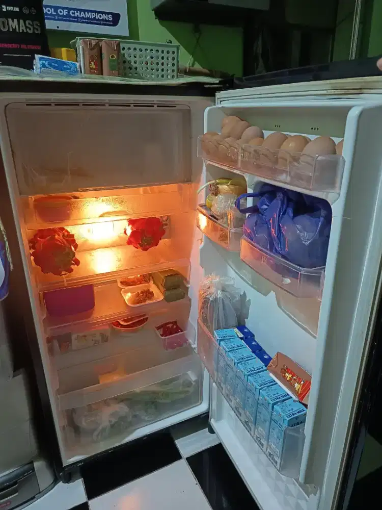 Kulkas 1 pintu panasonic