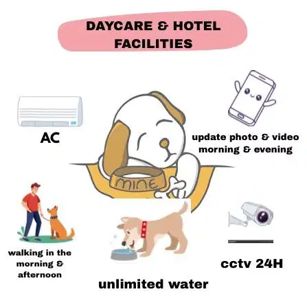 Pet hotel & dog walker