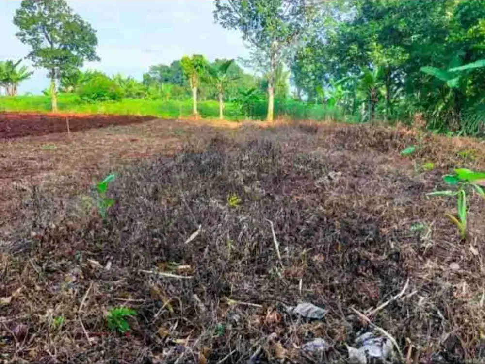 Tanah zona kuning Mijen BSB Semarang