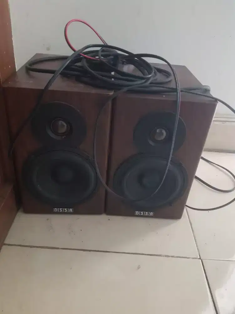 speaker monitor dholpin ds5a
