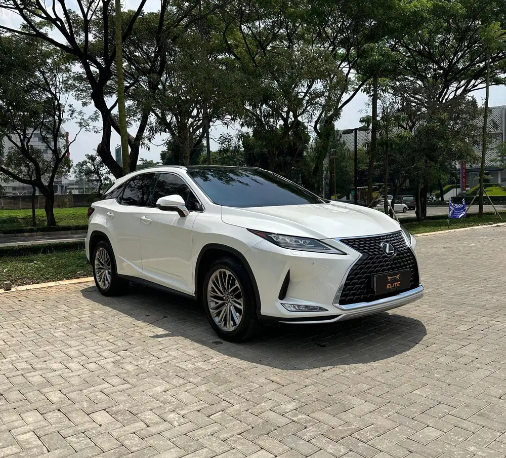 Lexus RX 300 Luxury 2021