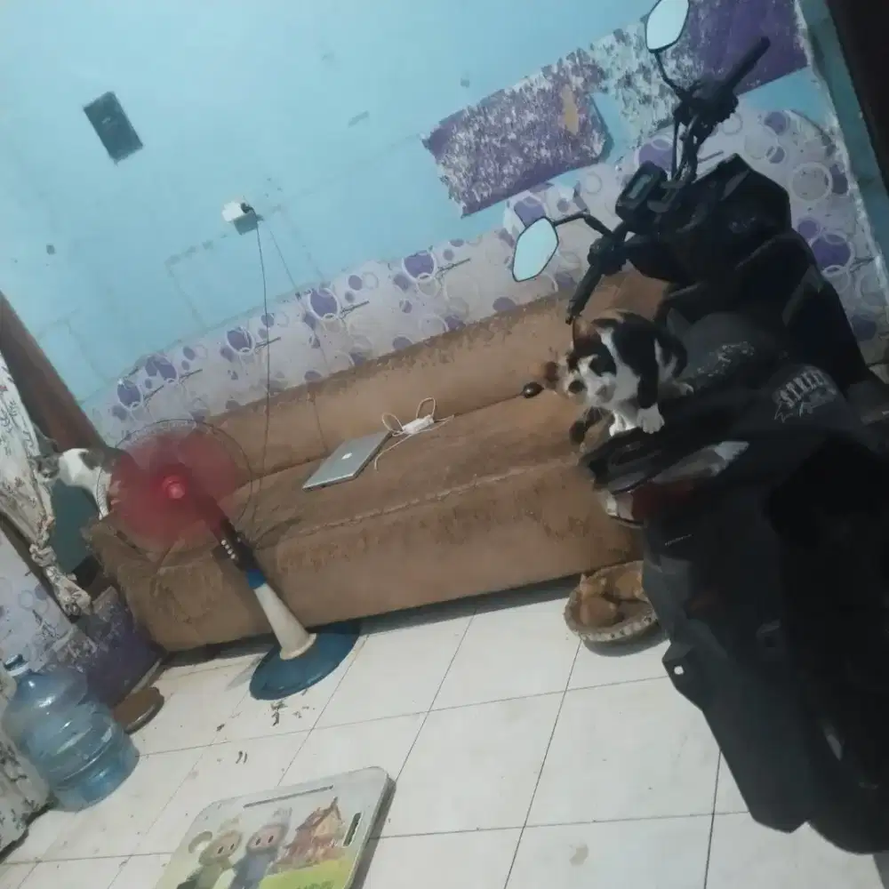 Sofa panjang warna orange