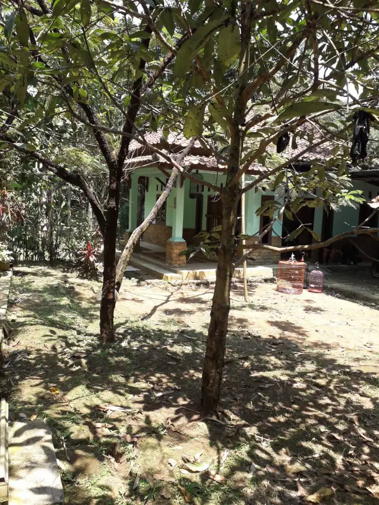 “Tanah 1.540 m² + Vila + Kolam Pemancingan… Dijual Murah di Bogor!”